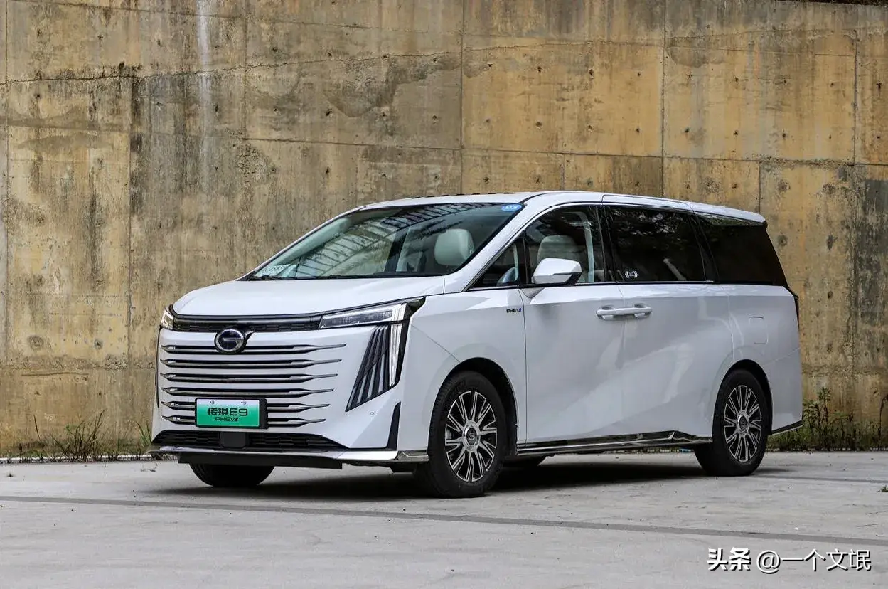 真强，2024中国新能源汽车魅力指数排行，国产车力压合资多车夺冠
