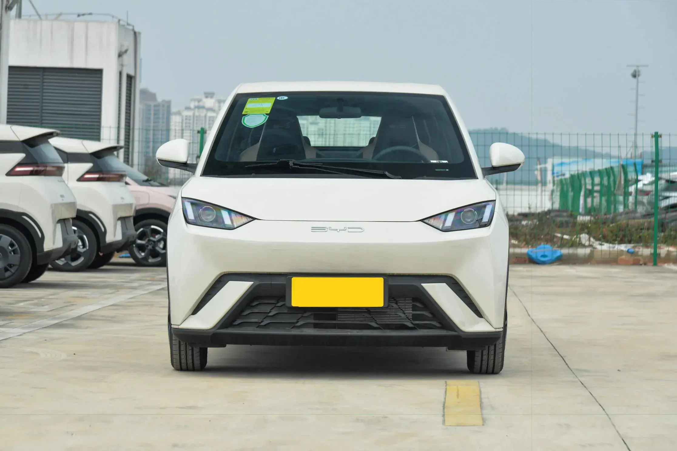 盘点2024年最热门的六款新能源汽车