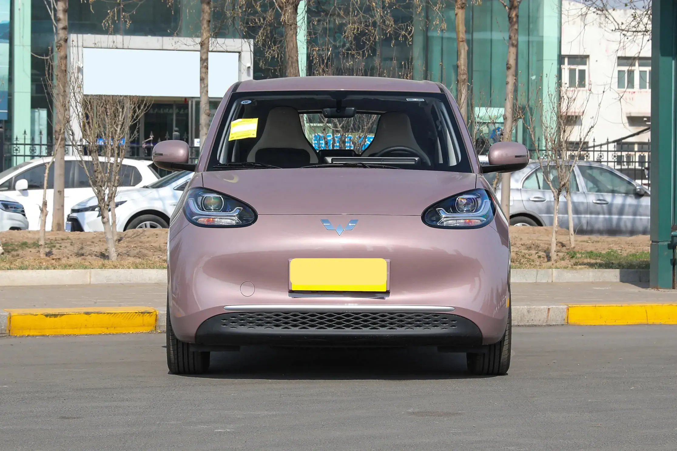 盘点2024年最热门的六款新能源汽车