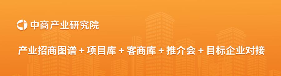 2024年1-5月中国新能源汽车厂商零售销量排行榜TOP10