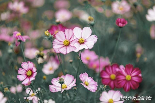 全球人工智能发展最好的20个地区，杭州上榜！