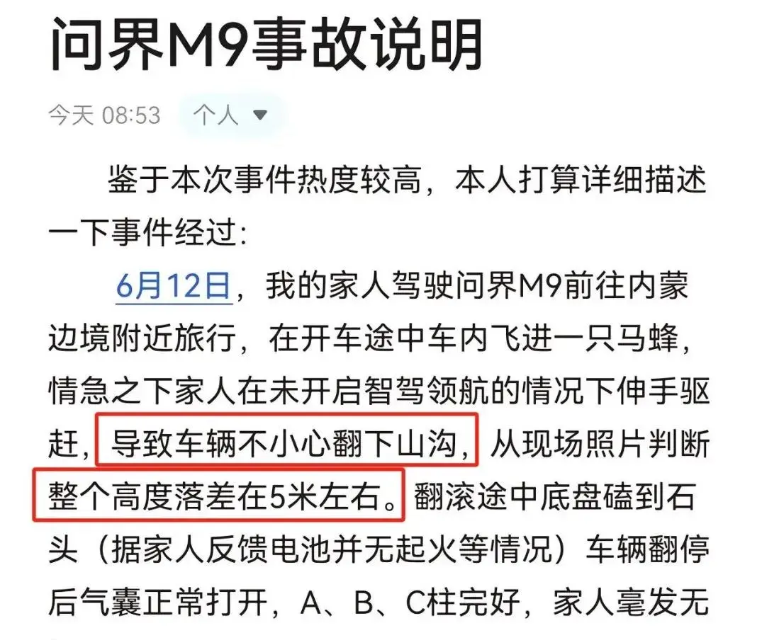 问界M9边境惊魂：一只马蜂导致车辆“滚下山崖”
