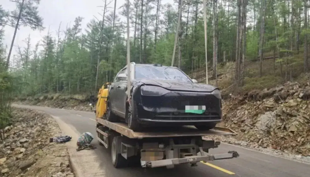 问界M9边境惊魂：一只马蜂导致车辆“滚下山崖”