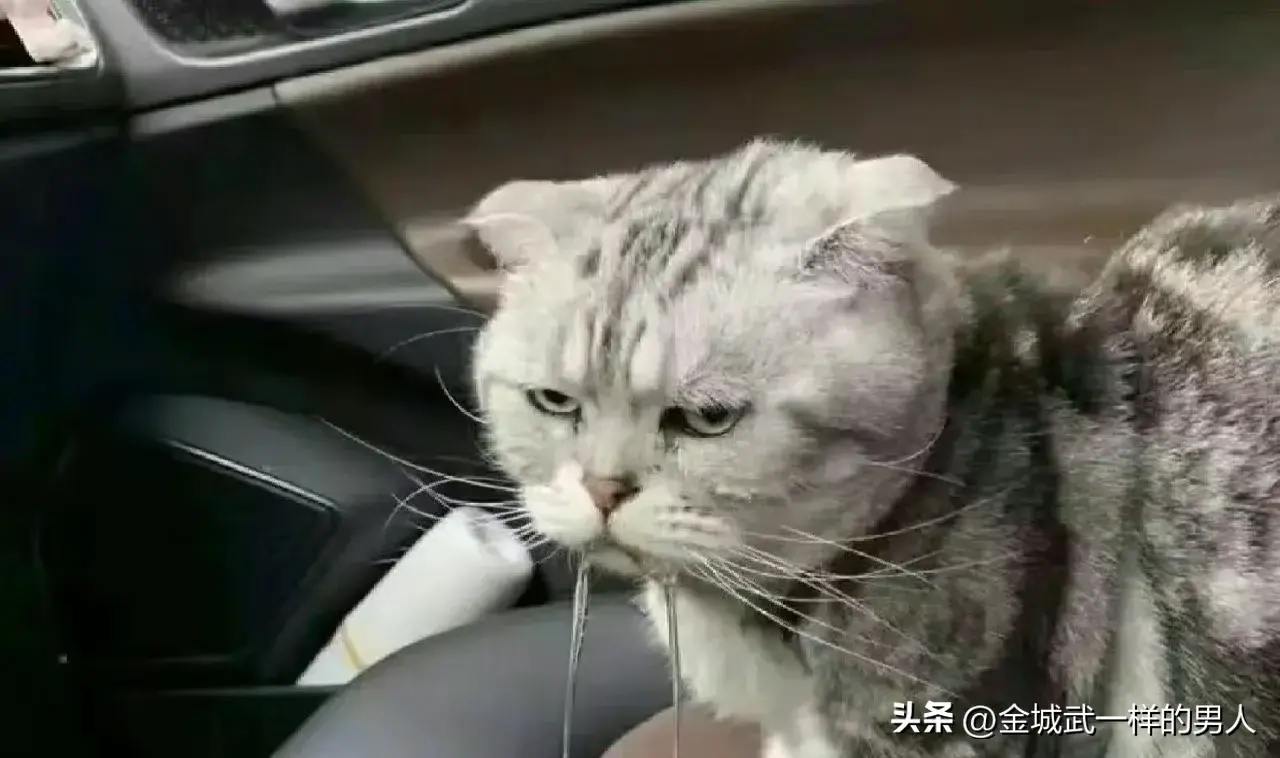 传统燃油车VS新能源汽车，你选哪一个？