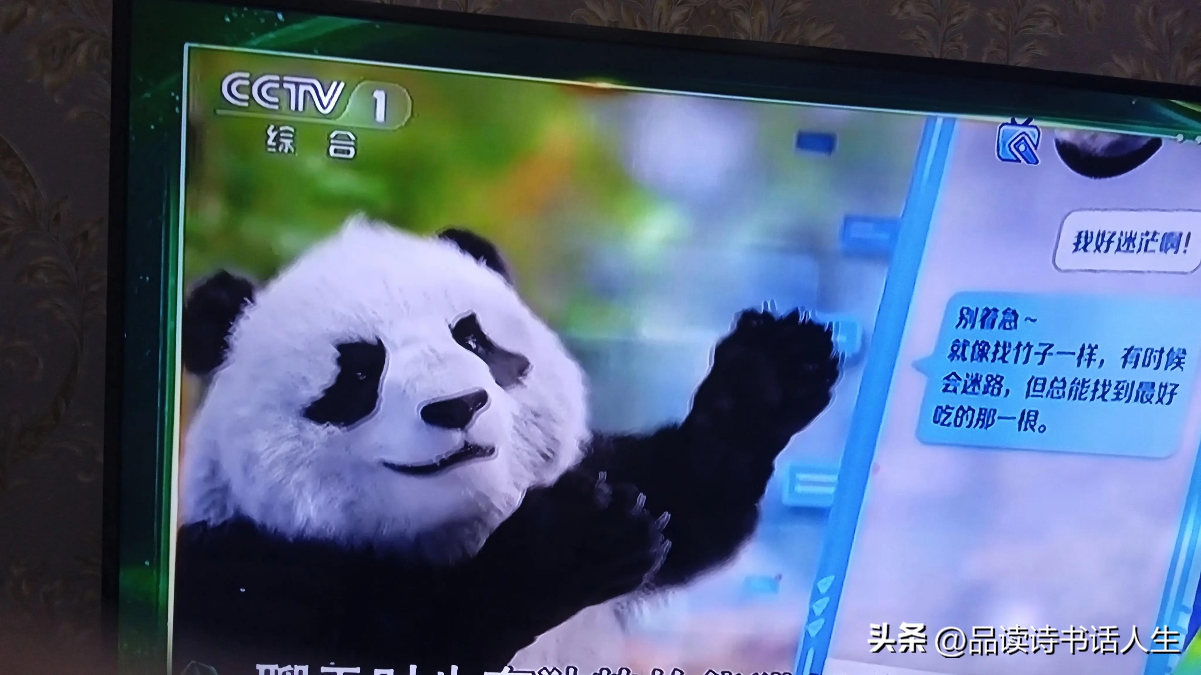 2024中国AI盛典:关于人工智能你了解多少？
