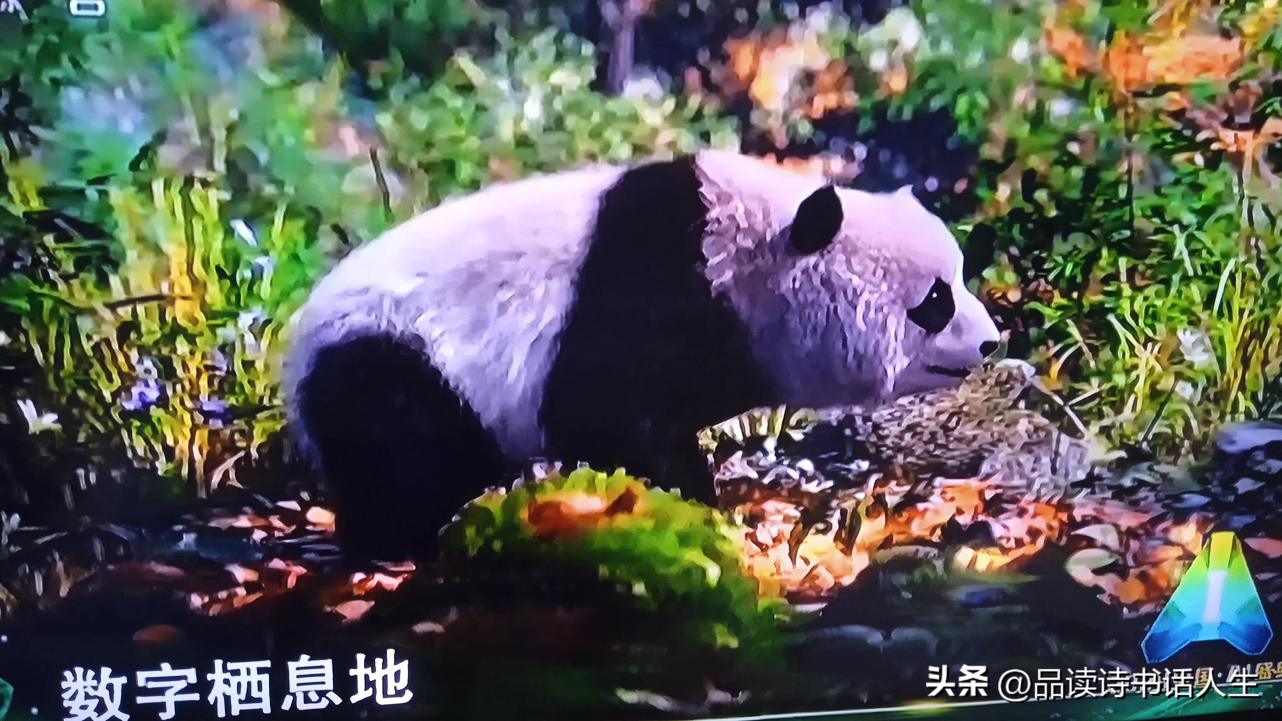 2024中国AI盛典:关于人工智能你了解多少？