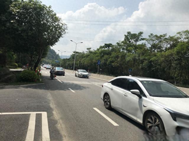 一场高温，彻底撕开新能源汽车弊端，车主苦不堪言，事实是什么？