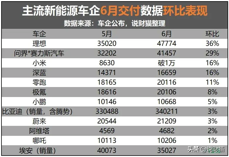 讽刺！新能源汽车半年榜，前三名都有油箱