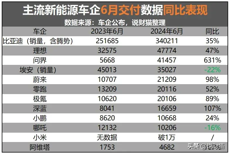 讽刺！新能源汽车半年榜，前三名都有油箱