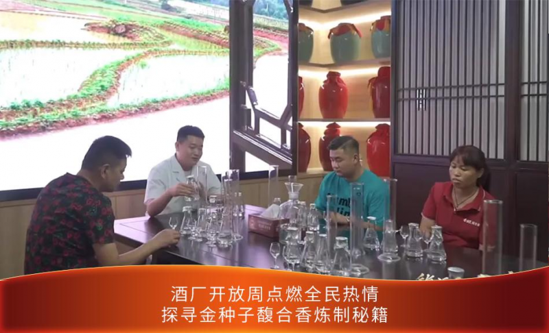 酿造匠心传奇，开窖节来临，带你品味馥合香之美