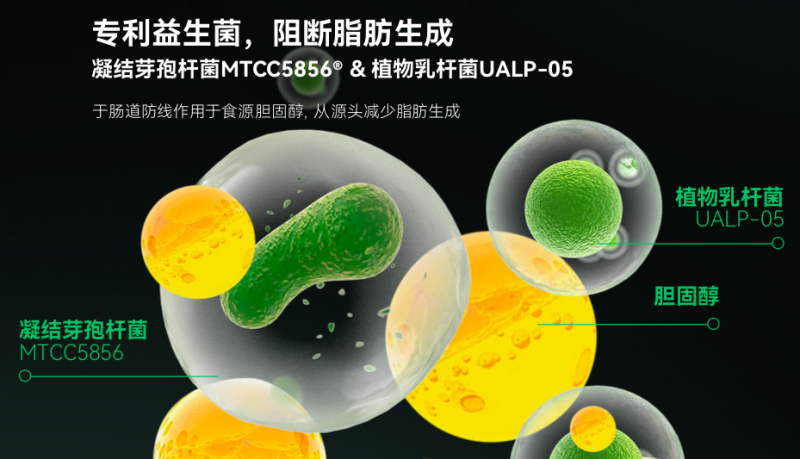 《柳叶刀》：肝脏受损引发多项慢性疾病，乐轻肝释放肝脏压力