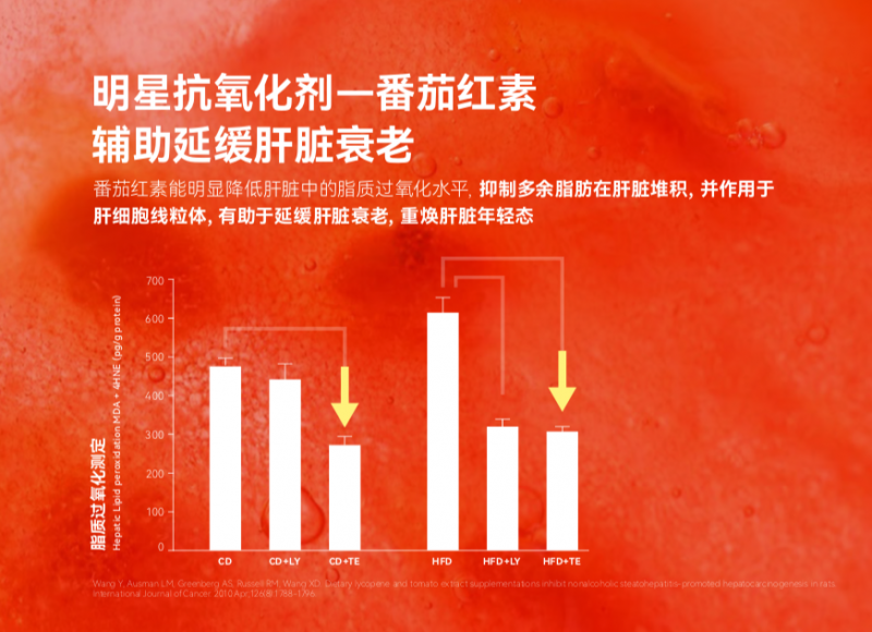 《柳叶刀》：肝脏受损引发多项慢性疾病，乐轻肝释放肝脏压力