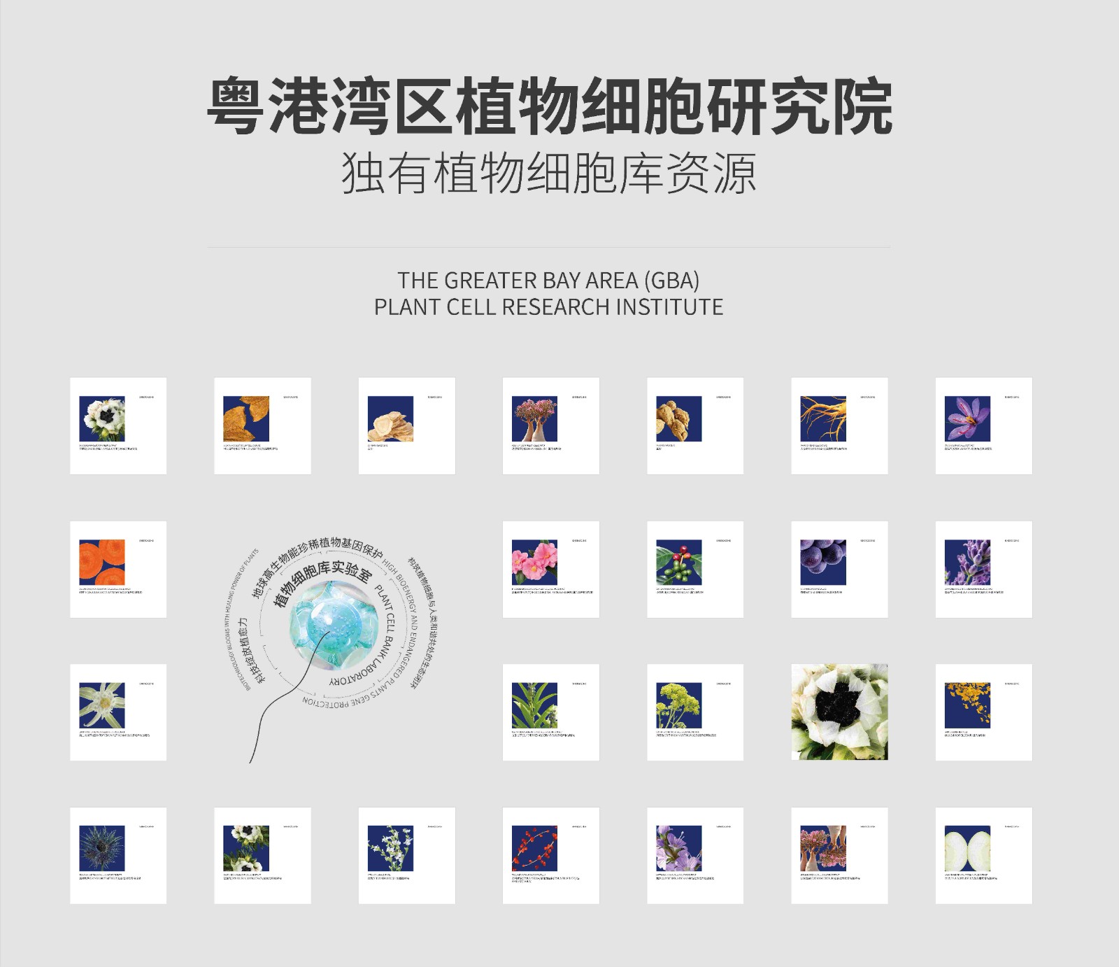 https://www.guokb.cn/wp-content/uploads/2025/04/0988776c5a593d77f9e7cbbca4f92321.jpg