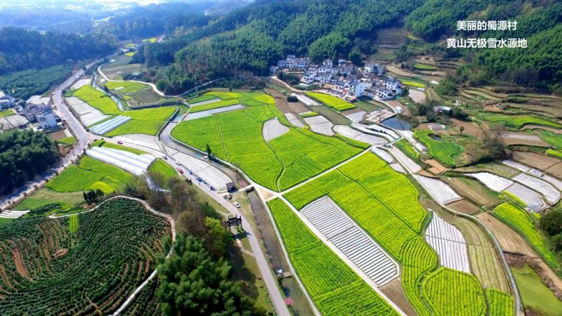 黄山康养新机遇：3000亿政策红利下的健康新蓝海