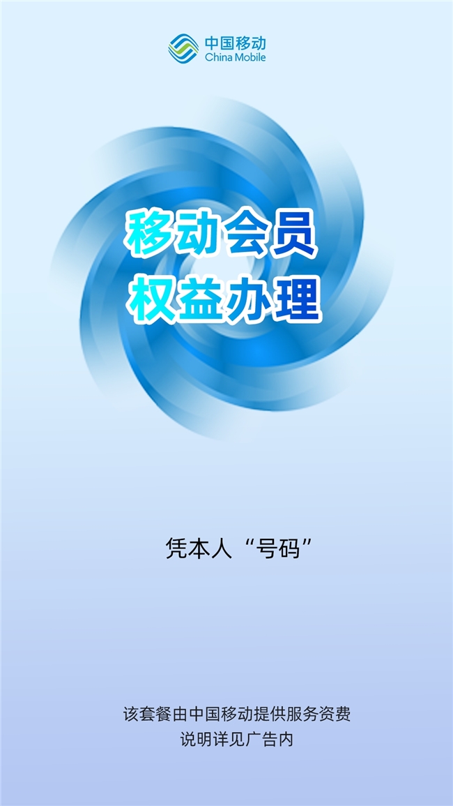《夜鸥领航：企业运营困境的破局之道》