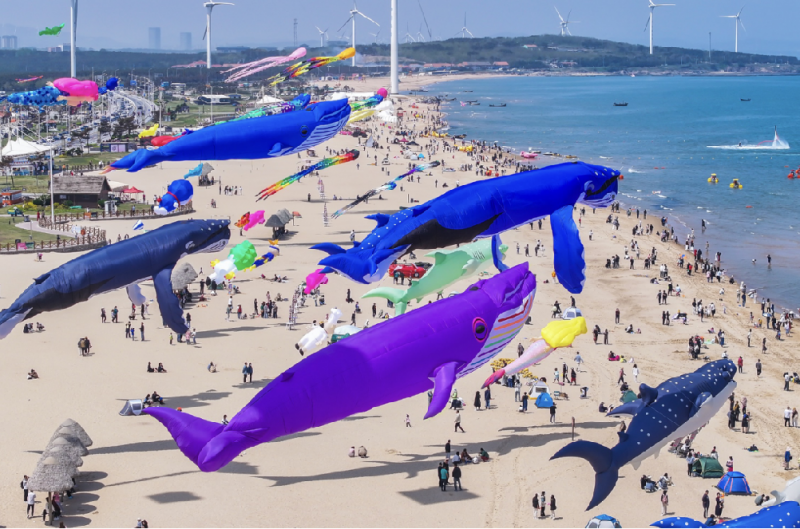 「踏浪追风 顽力觉醒」2025那香海风筝艺术节邀您共赴春日奇幻之旅！