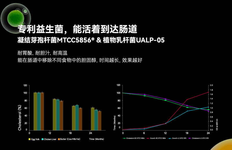 脂肪肝超标后的代谢危机明显，LAIFE「乐轻肝」守卫肝脏活力