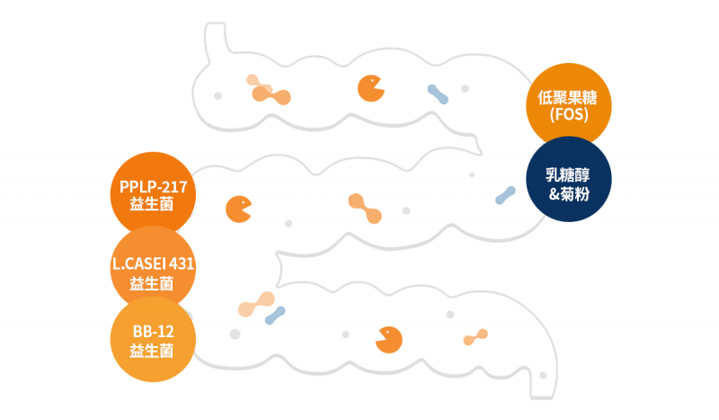 专为3-14岁孩子研发！High&GoGo儿童成长益生菌，解决成长难题，护航儿童健康成长
