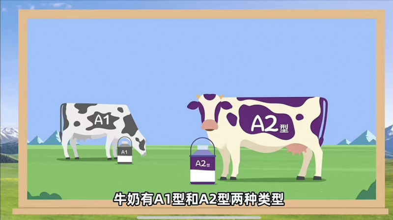 a2奶粉凭什么跻身高端？解码宝宝黄金口粮的核心竞争力