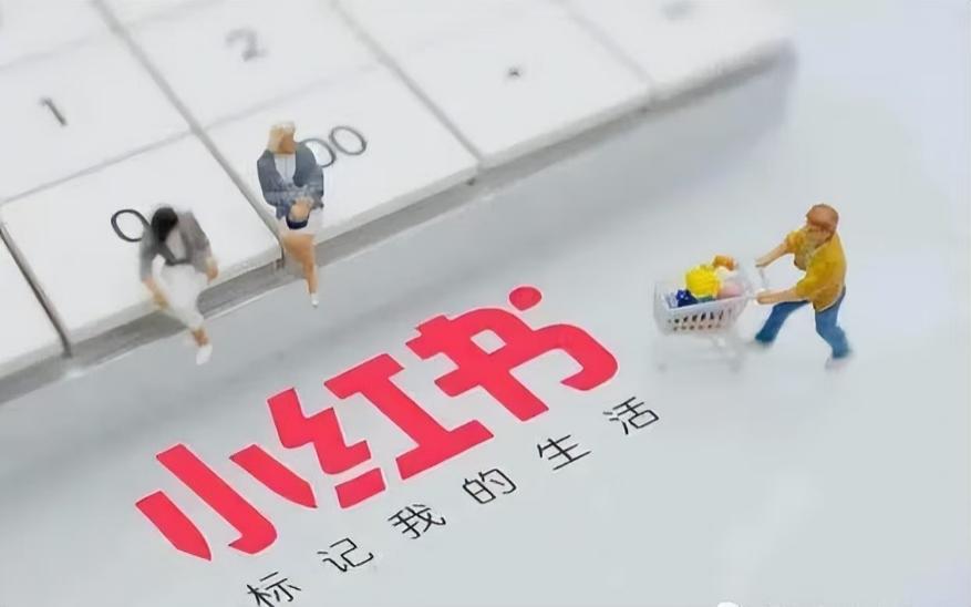 从“种草”到“收割”：兴长信达解码小红书买手生态的进化与未来