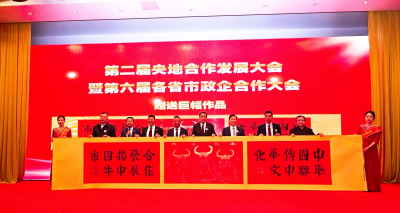 [大国战略]华国中应邀出席第二届央地合作发展大会暨第六届各省市政企合作大会