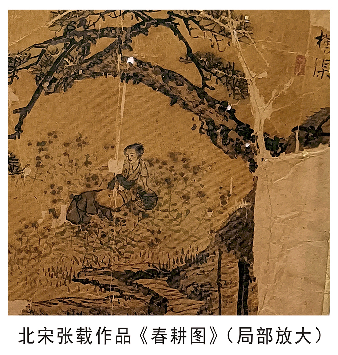 https://www.guokb.cn/wp-content/uploads/2025/04/81f98f4b6c2ac3ae501504fda06baf20.jpg