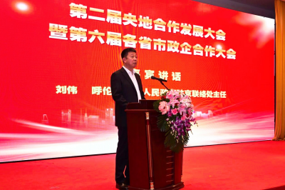 [大国战略]华国中应邀出席第二届央地合作发展大会暨第六届各省市政企合作大会