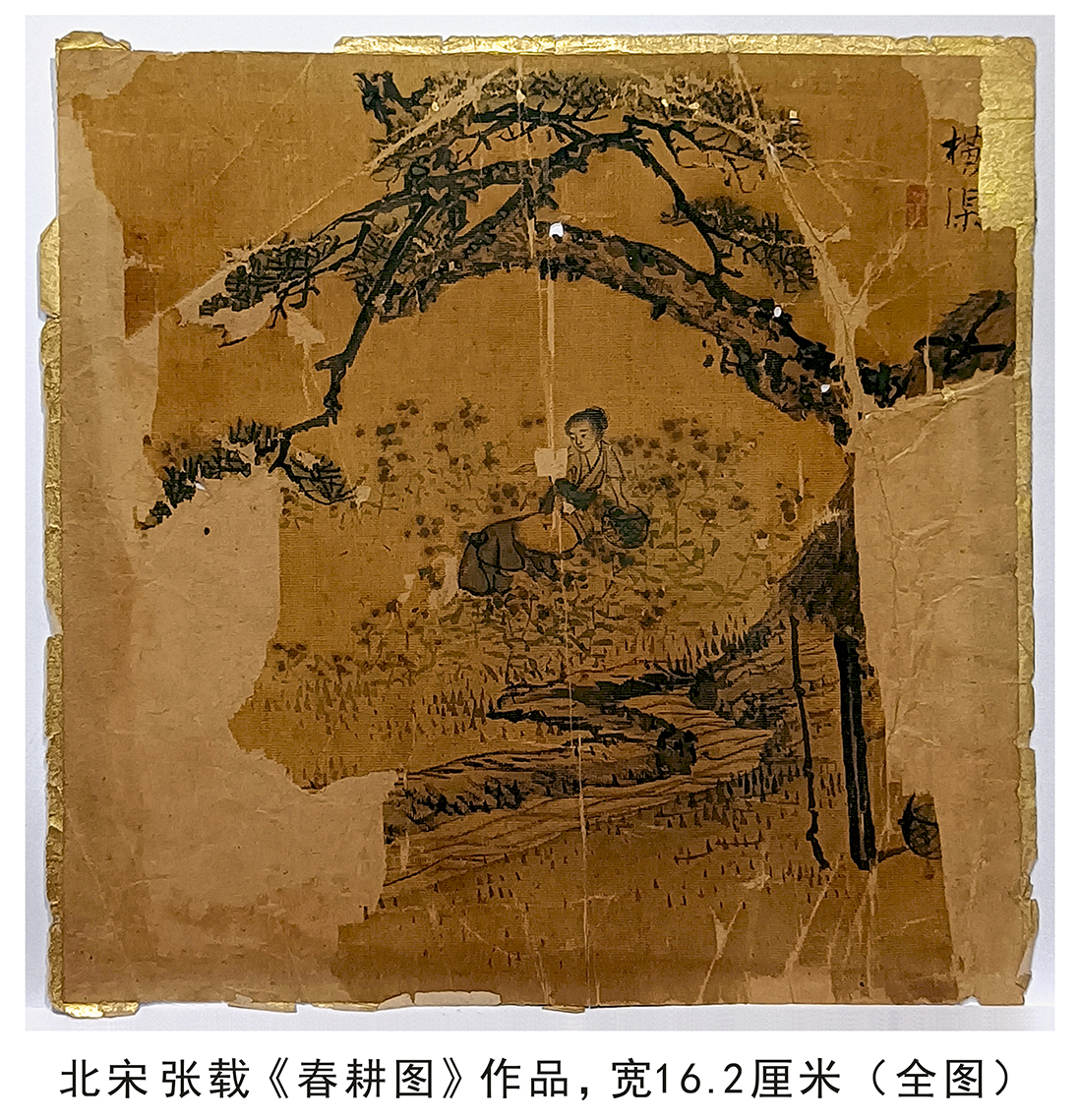 https://www.guokb.cn/wp-content/uploads/2025/04/c07ce39c78eec07a8ba759405b88ad02.jpg