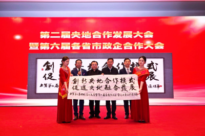 [大国战略]华国中应邀出席第二届央地合作发展大会暨第六届各省市政企合作大会