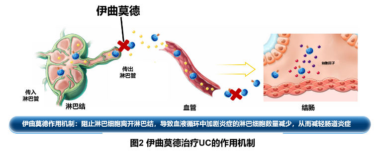 每日一次口服一线先进疗法！伊曲莫德重塑溃疡性结肠炎长程管理格局
