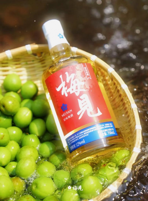 李时珍与卢复的青梅之约，一起喝好酒梅见青梅酒