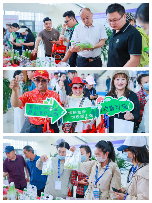 跨越2000多公里的风味对话：斑兰绿登陆啤酒城 精准锁定青岛味蕾坐标