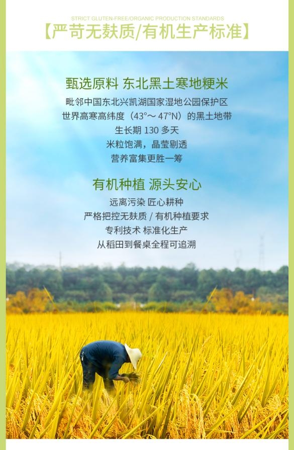 小麦面、全谷物面、米线大解析：谷品新约®如何让一碗面成为健康选择新标杆？