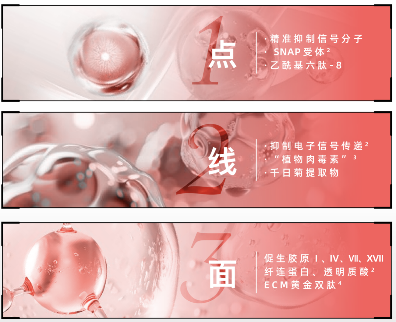 子菁聚焦皮肤免疫抗衰赛道，自研胶原蛋白肽，打造科学抗衰护肤新篇章