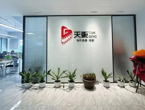 天更文化如何用“四个角色”撬动海外bigo直播3万主播军团