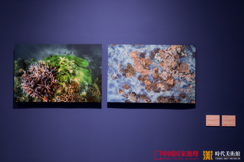 「中国国家地理：一场公路的奇境之旅」特展
