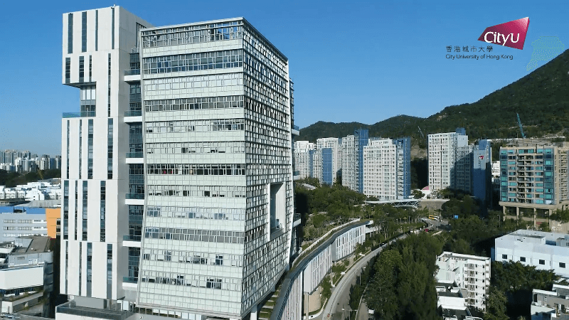 王贵运：以国际视野推动多元经济合作 助力“一带一路”高质量发展