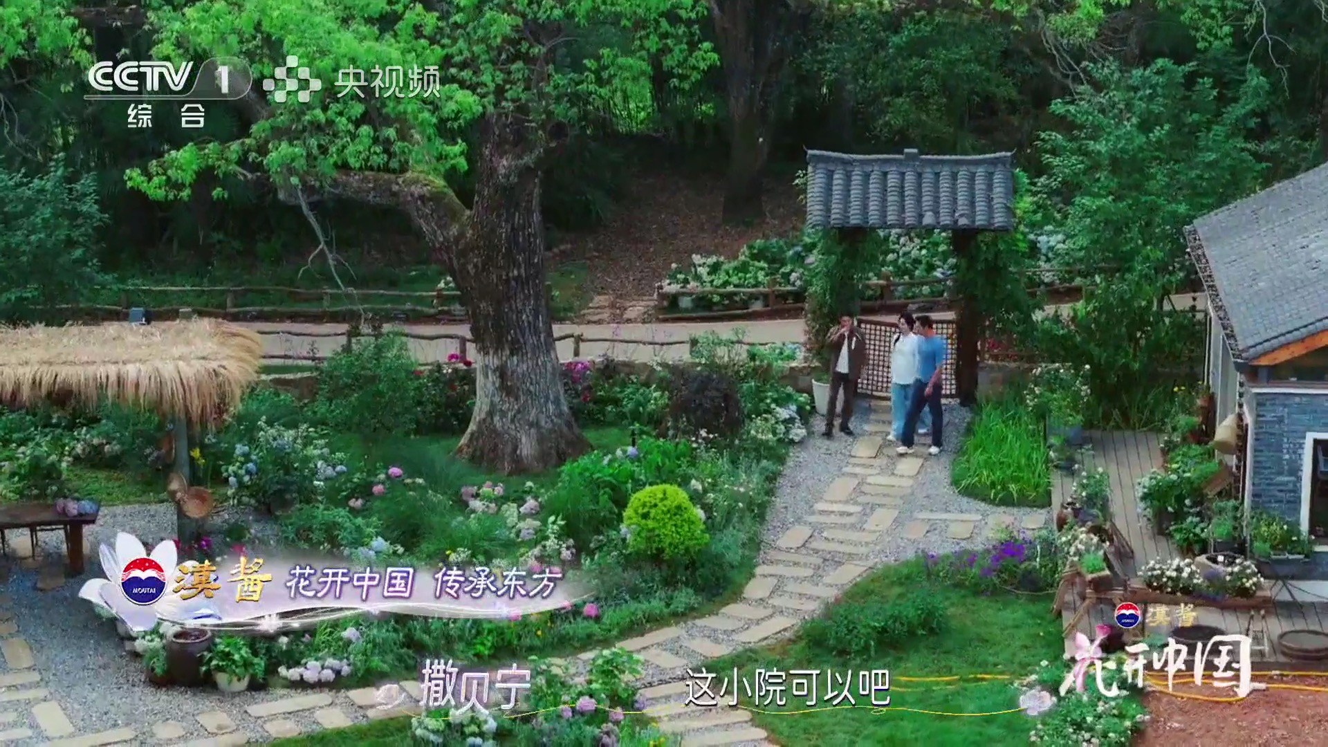 首播即刷屏！汉酱独家冠名《花开中国》开播，在繁花中遇见美好生活