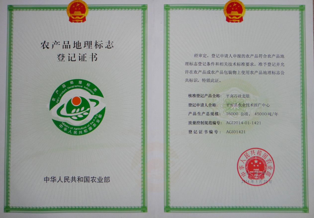平南石硖龙眼，水果界的明星