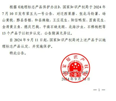 平南石硖龙眼，水果界的明星