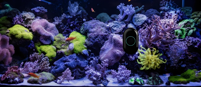 从同质化到差异化：宠智灵AI，为水族摄像头注入“最强大脑”