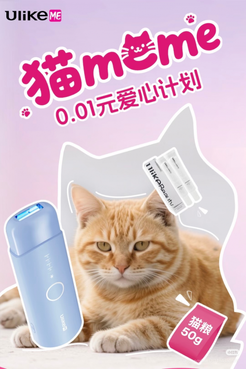 用科技传递温暖：UlikeME校园猫咪公益行动全记录