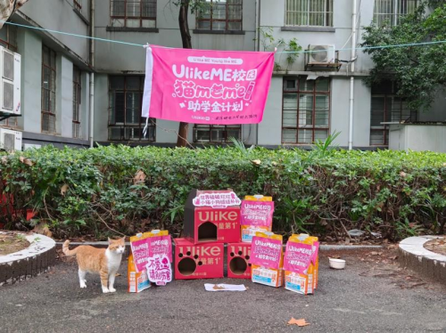 用科技传递温暖：UlikeME校园猫咪公益行动全记录