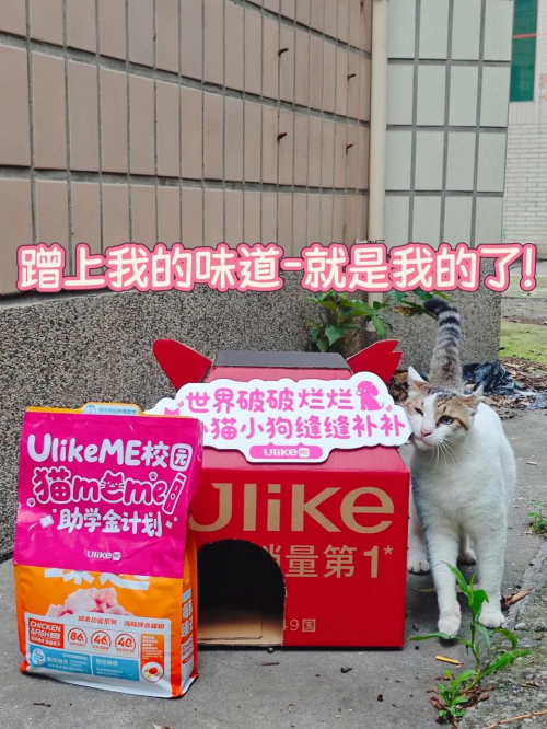 用科技传递温暖：UlikeME校园猫咪公益行动全记录