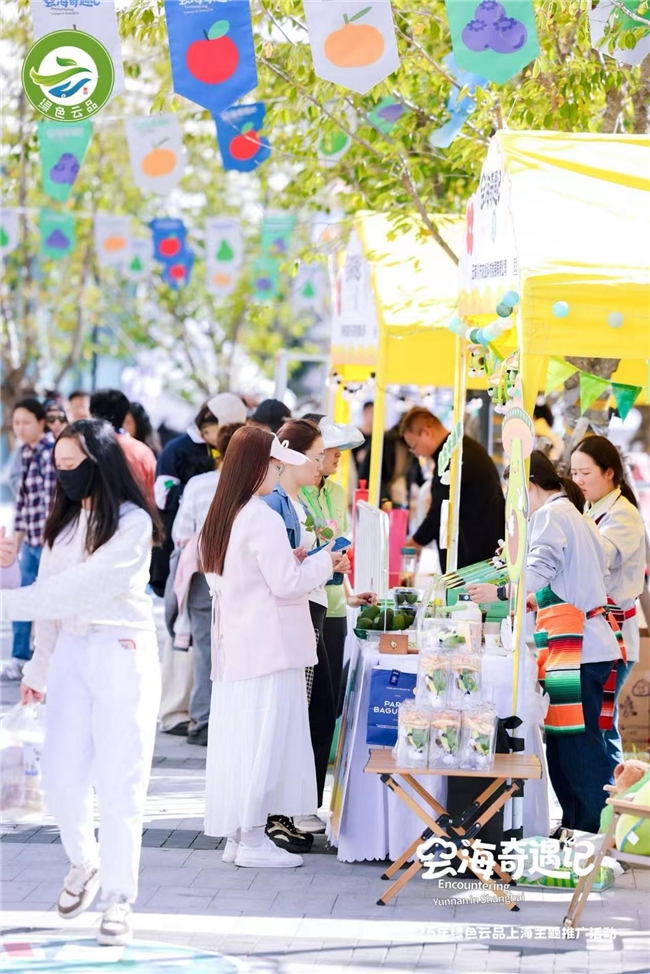 跨越山海的“云味之约”：2025年绿色云品上海主题市集成上海深秋消费新热点