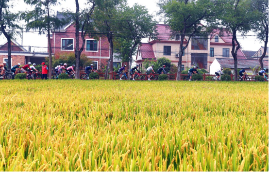 2025 smart杯TREK100开赛，千名骑手挑战世巡赛道！