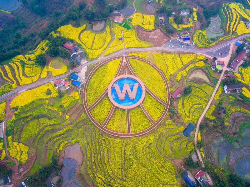 五粮融萃·美合万象：五粮文创定义美学白酒新标杆