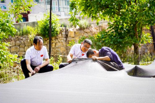 扎根乡土筑根基！振东以药材产业激活太行山区乡村振兴新动能