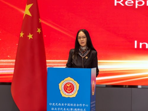 印度尼西亚中国经济合作中心驻北京代表处（筹）揭牌仪式成功举办​