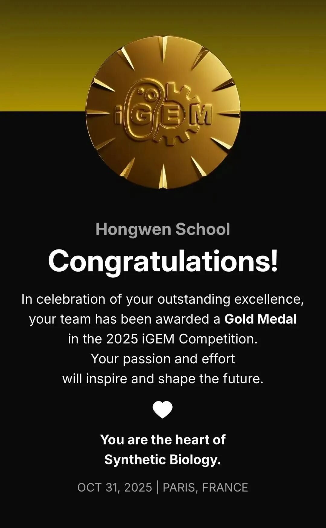 【再获顶级赛事全球金奖】宏文学校青岛校区Diana孙煜阳畅聊“双城科研”趣事